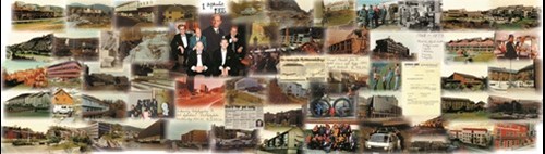 oswald-Collage.jpg